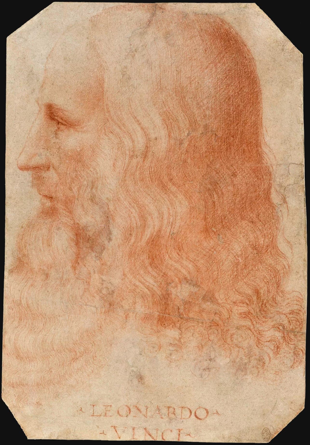 Zdjęcie 1: Leonardo da Vinci